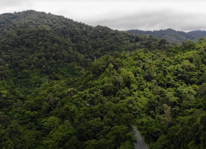 Giving back to nature