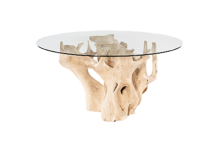 Teak Root Dining Table Bleached, Glass Top